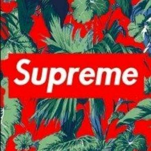 Meet your Posher, Wyatt